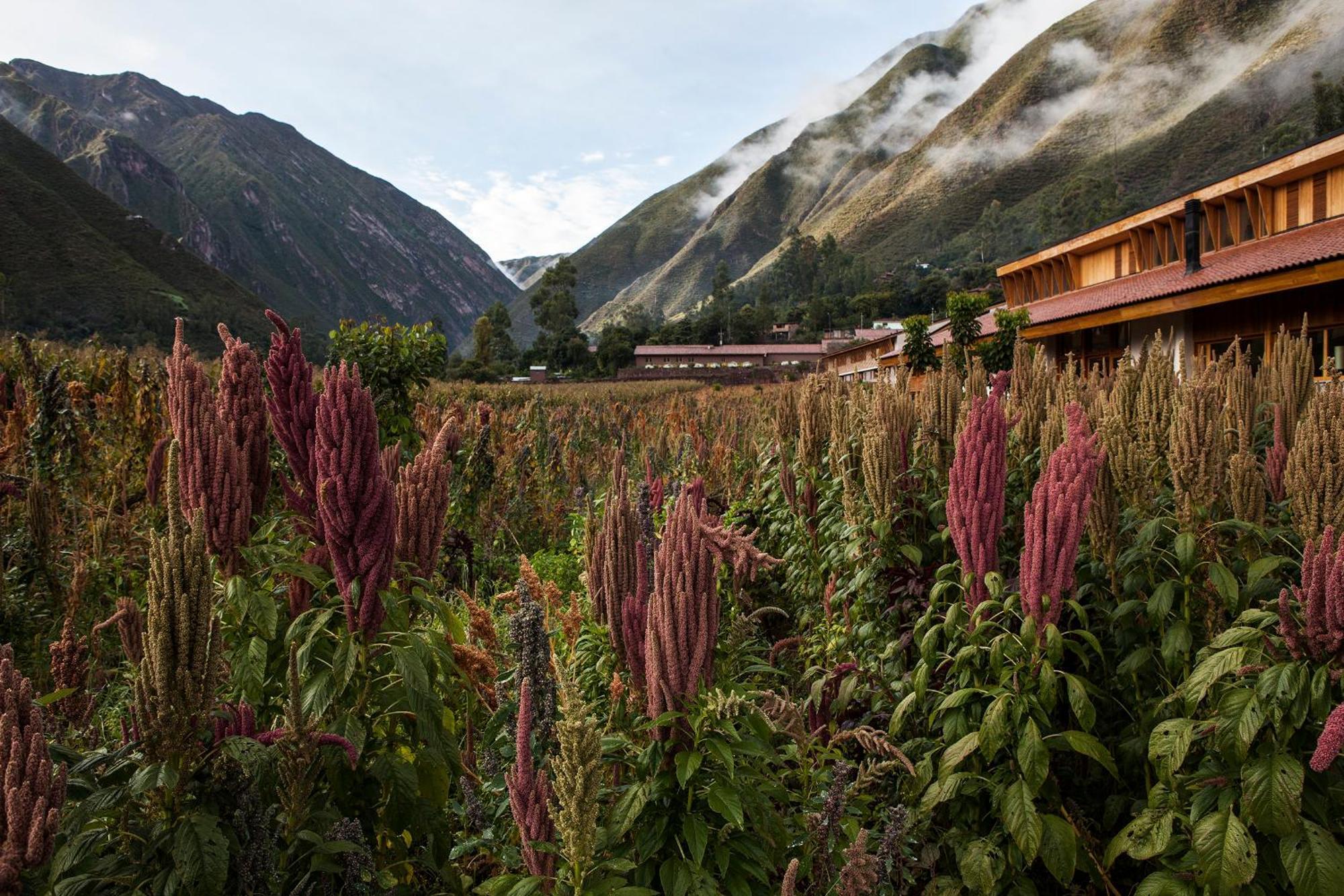 Explora Valle Sagrado Urubamba Zewnętrze zdjęcie